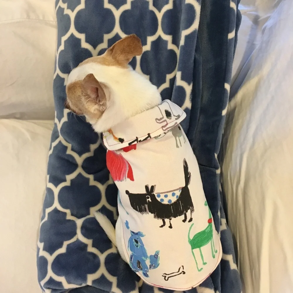 Dog jacket - hand made 💕